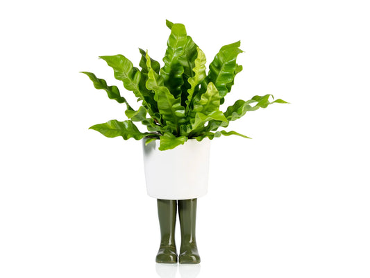 Macetero Botas de Lluvia Verdes