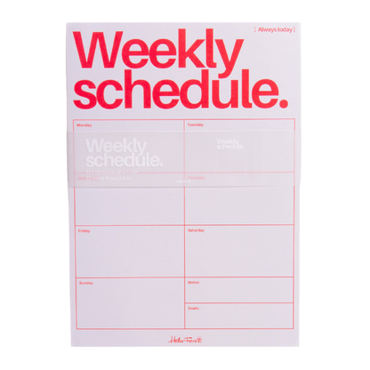 Organizador Semanal Gris